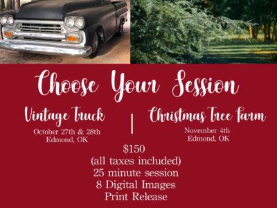 Vintage Truck and Christmas Trees!